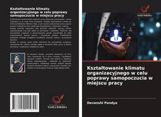 Bookcover of Kształtowanie klimatu organizacyjnego w celu poprawy samopoczucia w miejscu pracy