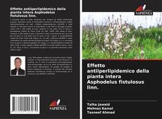 Couverture de Effetto antiiperlipidemico della pianta intera Asphodelus fistulosus linn.