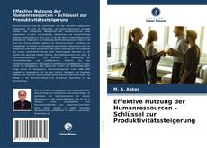 Bookcover of Effektive Nutzung der Humanressourcen – Schlüssel zur Produktivitätssteigerung
