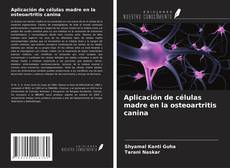 Aplicación de células madre en la osteoartritis canina kitap kapağı