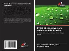 Copertina di Unità di conservazione ambientale in Brasile