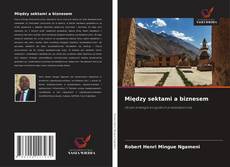 Między sektami a biznesem的封面