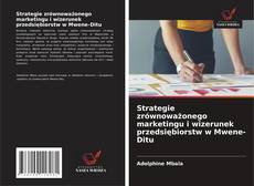 Strategie zrównoważonego marketingu i wizerunek przedsiębiorstw w Mwene-Ditu的封面