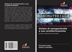 Sintesi di nanoparticelle e sua caratterizzazione的封面