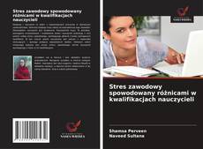 Bookcover of Stres zawodowy spowodowany różnicami w kwalifikacjach nauczycieli