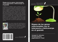 Couverture de Mapeo de los genes relacionados con la tolerancia a Helicoverpa en el guandú