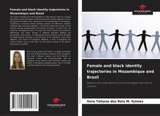 Обложка Female and black identity trajectories in Mozambique and Brazil