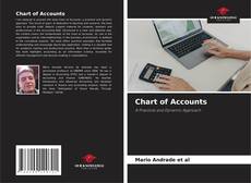 Chart of Accounts的封面