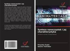 Bookcover of Synteza nanocząstek i jej charakterystyka