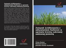 Związek ściółkowania z odżywianiem fosforem w uprawie trzciny cukrowej sadzonej jesienią的封面