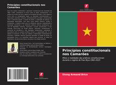 Copertina di Princípios constitucionais nos Camarões