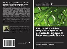 Efectos del suministro irregular de agua en las comunidades urbanas de bajos ingresos de Zambia的封面