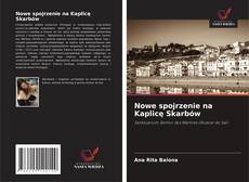 Обложка Nowe spojrzenie na Kaplicę Skarbów