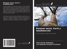 Copertina di Bosques secos, karst y teledetección