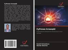 Cyfrowa krawędź的封面
