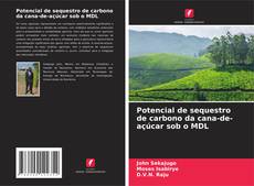 Bookcover of Potencial de sequestro de carbono da cana-de-açúcar sob o MDL