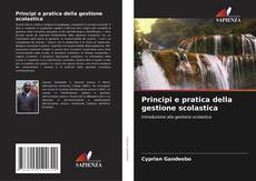 Copertina di Principi e pratica della gestione scolastica