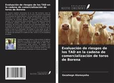 Capa do livro de Evaluación de riesgos de los TAD en la cadena de comercialización de toros de Borena 