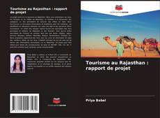 Bookcover of Tourisme au Rajasthan : rapport de projet