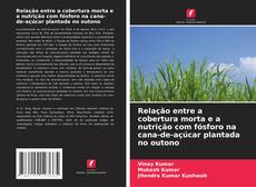 Copertina di Relação entre a cobertura morta e a nutrição com fósforo na cana-de-açúcar plantada no outono