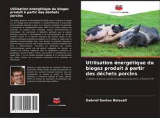 Couverture de Utilisation énergétique du biogaz produit à partir des déchets porcins