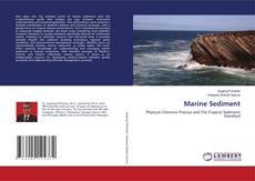 Bookcover of Marine Sediment