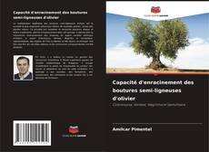 Copertina di Capacité d'enracinement des boutures semi-ligneuses d'olivier
