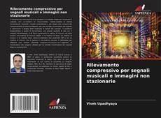 Rilevamento compressivo per segnali musicali e immagini non stazionarie的封面
