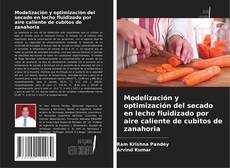 Copertina di Modelización y optimización del secado en lecho fluidizado por aire caliente de cubitos de zanahoria