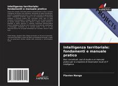Intelligenza territoriale: fondamenti e manuale pratico kitap kapağı