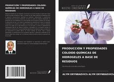 Capa do livro de PRODUCCIÓN Y PROPIEDADES COLOIDE-QUÍMICAS DE HIDROGELES A BASE DE RESIDUOS 