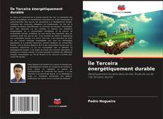 Couverture de Île Terceira énergétiquement durable