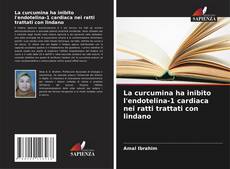 Couverture de La curcumina ha inibito l'endotelina-1 cardiaca nei ratti trattati con lindano