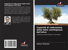Capacità di radicazione delle talee semilegnose dell'olivo kitap kapağı