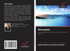 Buchcover von Biznesplan