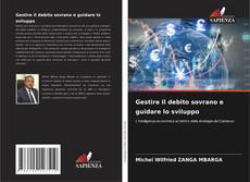 Copertina di Gestire il debito sovrano e guidare lo sviluppo