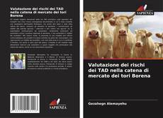 Buchcover von Valutazione dei rischi dei TAD nella catena di mercato dei tori Borena