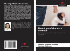 Portada del libro de Meanings of domestic violence