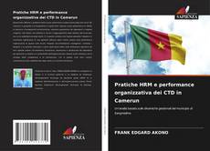 Buchcover von Pratiche HRM e performance organizzativa dei CTD in Camerun