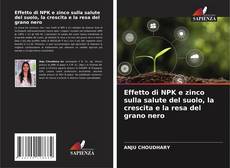 Copertina di Effetto di NPK e zinco sulla salute del suolo, la crescita e la resa del grano nero