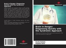 Brain in Danger: Diagnosing Quickly with the Syndromic Approach kitap kapağı