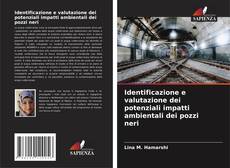 Copertina di Identificazione e valutazione dei potenziali impatti ambientali dei pozzi neri