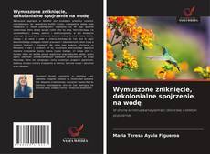 Wymuszone zniknięcie, dekolonialne spojrzenie na wodę kitap kapağı