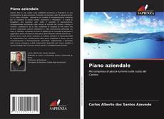 Couverture de Piano aziendale