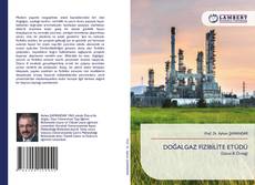 Bookcover of DOĞALGAZ FİZİBİLİTE ETÜDÜ