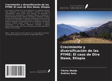 Crecimiento y diversificación de las PYME: El caso de Dire Dawa, Etiopía的封面