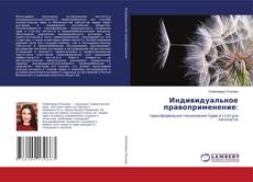 Buchcover von Индивидуальное правоприменение: