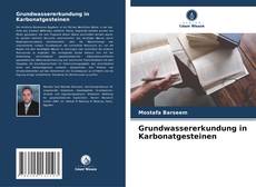 Borítókép a  Grundwassererkundung in Karbonatgesteinen - hoz