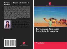 Copertina di Turismo no Rajastão: Relatório do projeto