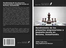 Rendimiento de los proyectos empresariales a pequeña escala en Borama, Somalilandia kitap kapağı